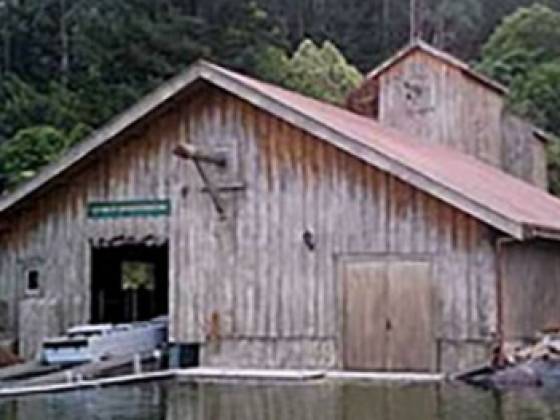 Rotorua_log_flume_featured